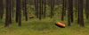 new-filtrations.environment.woods.after