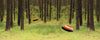 new-filtrations.environment.woods.after