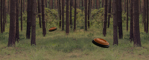 new-filtrations.environment.woods.before